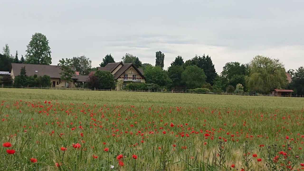 Gite Du Clos Paisible Jebsheim Zewnętrze zdjęcie